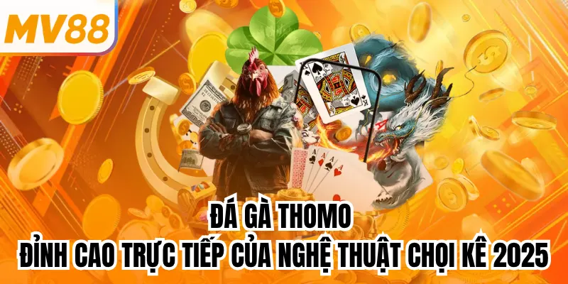 Đá Gà Thomo - Đỉnh Cao Trực Tiếp Của Nghệ Thuật Chọi Kê 2025