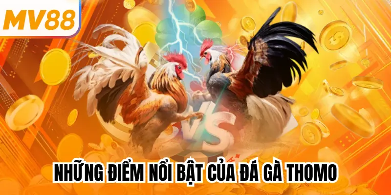 Những điểm nổi bật của đá gà Thomo