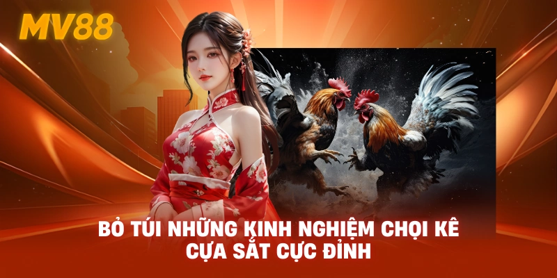 Bỏ túi những kinh nghiệm chọi kê cựa sắt cực đỉnh