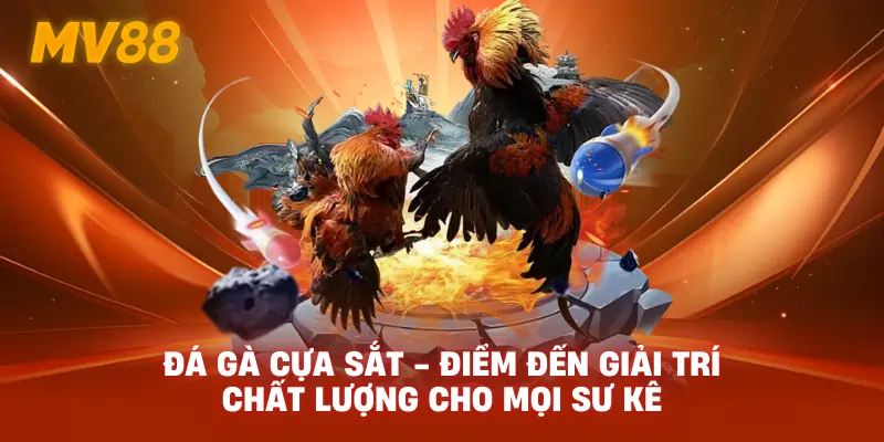 Đá Gà Cựa Sắt - Điểm Đến Giải Trí Chất Lượng Cho Mọi Sư Kê