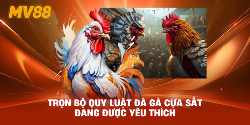 Trọn bộ quy luật đá gà cựa sắt đang được yêu thích